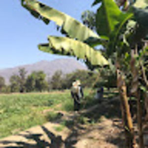 Meet your Posher, Antonio